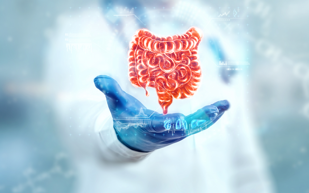 הקשר בין חיידקי המעי שלנו לאלרגיה ו-8 דרכים לשפר את המצב