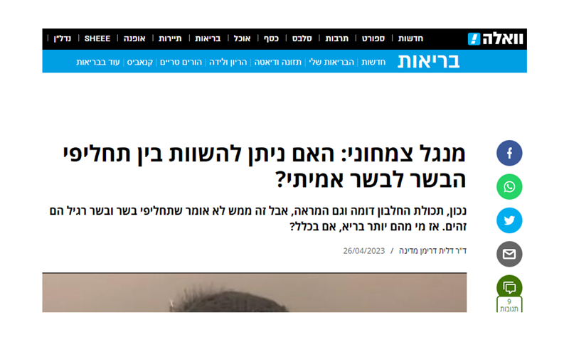 מנגל-צמחוני